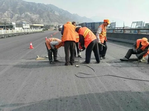 礼泉道路桥梁病害治理